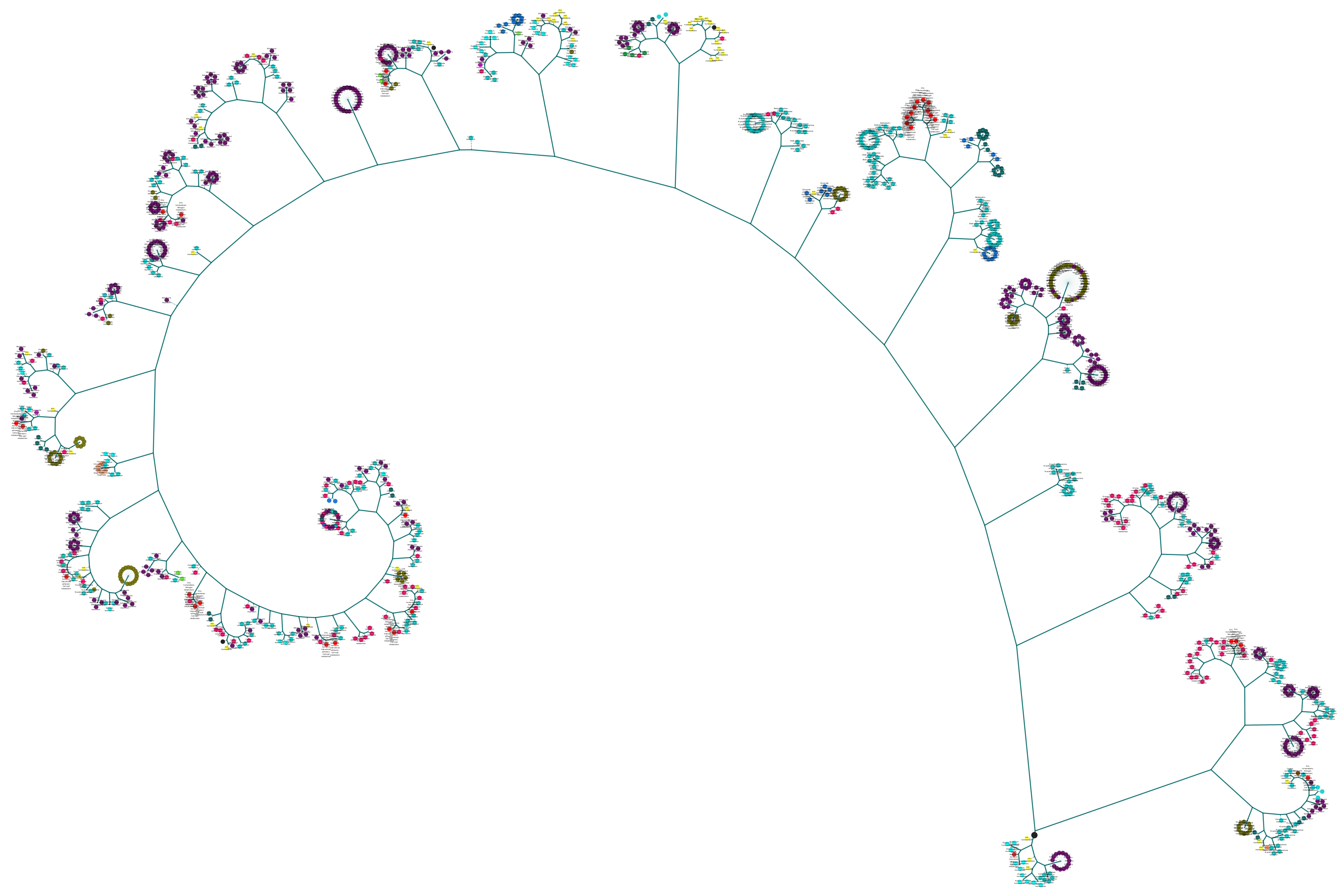 binary tree clustering of phenotypic