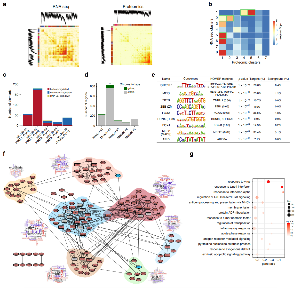 Fig. 4 Weighted correlation network analysis (WGCNA) identifies IFNα-regulated mRNA and protein modules