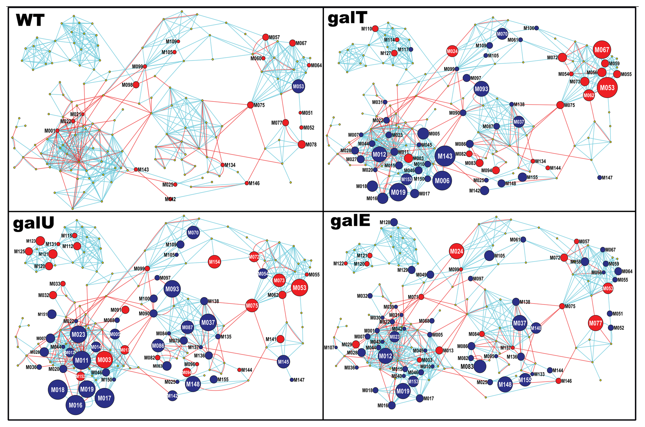 Figure 3. MetaMapp of the metabolic modules that were altered in E. coli grown in galactose.